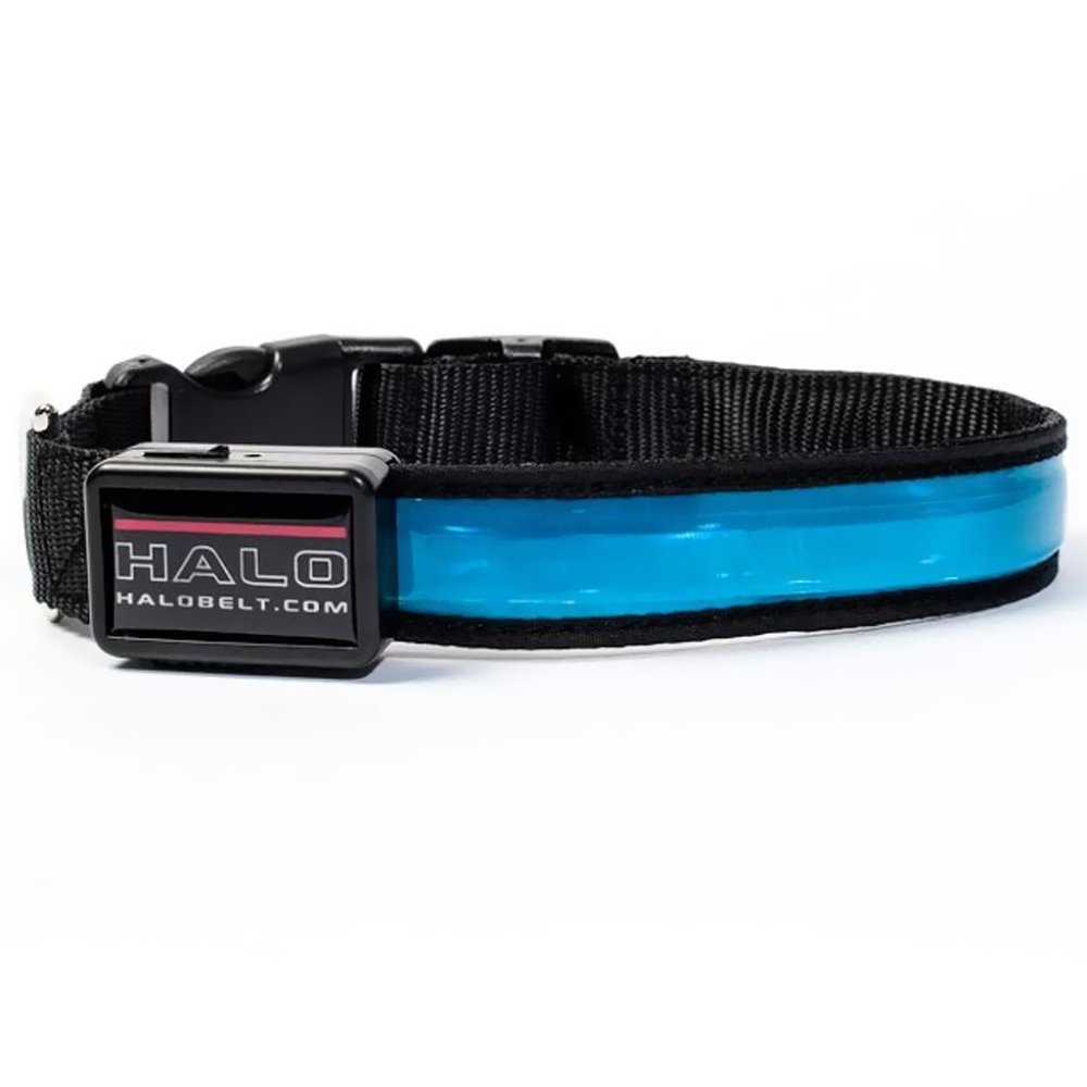 🏆Host Pick🏆 (OFFERS WELCOME) HALO Dog Collar - Picture 5 of 9